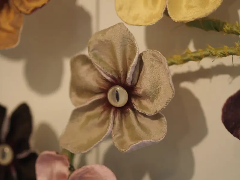 Spring (2017)