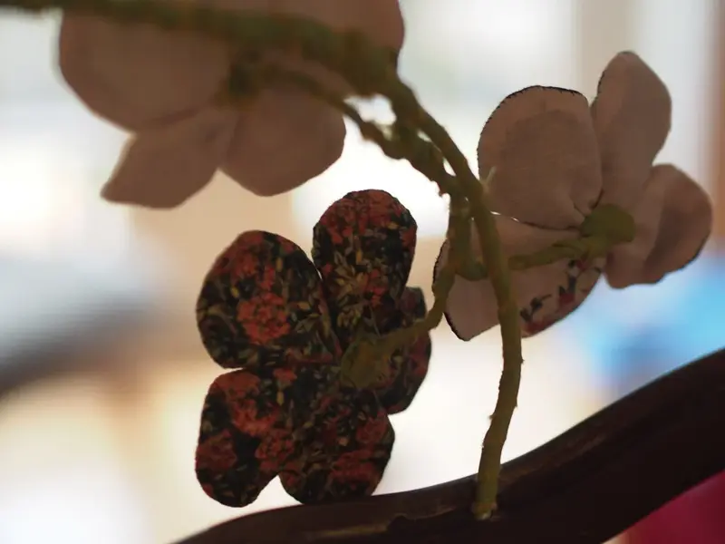 Spring (2017)