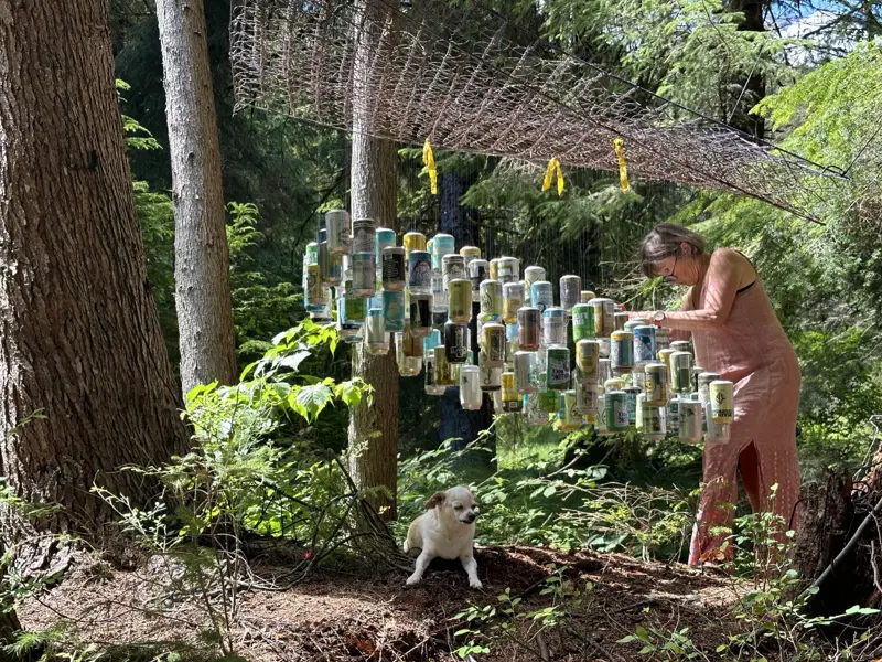 Summer Dreams (2018)