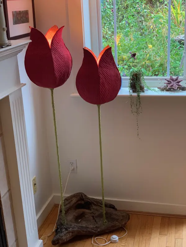 The Tulips (2019)