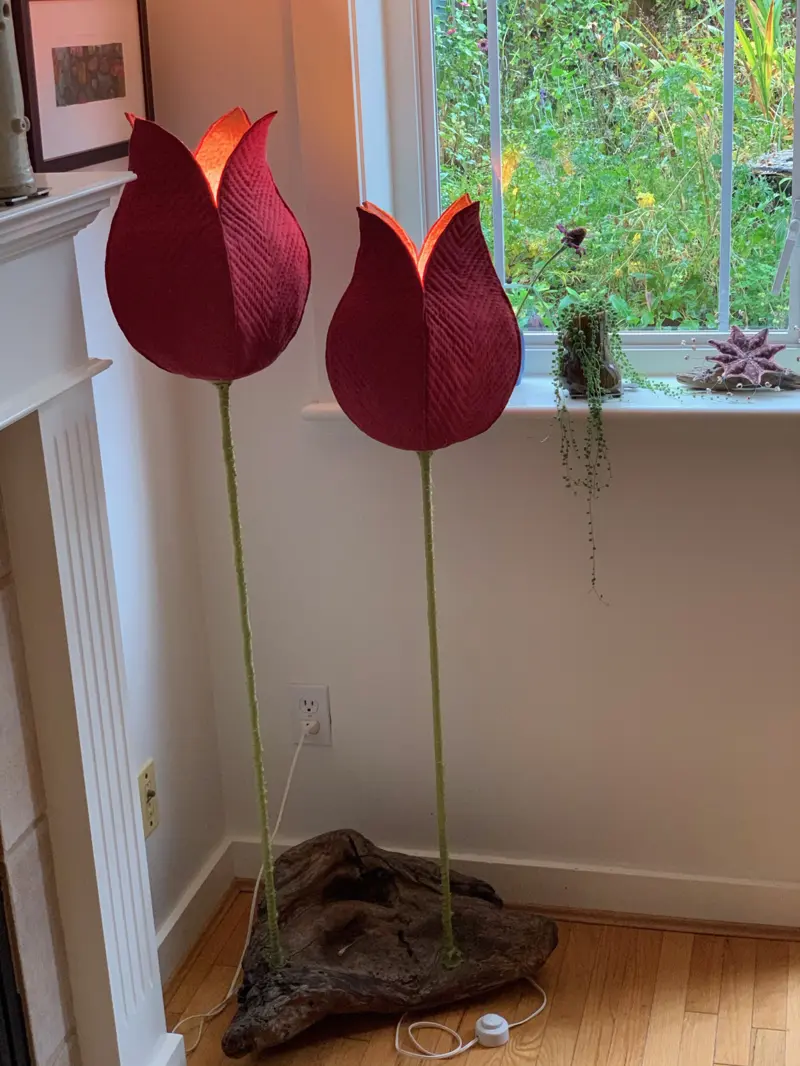 The Tulips (2019)
